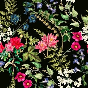 Meet your Posher, Bailey